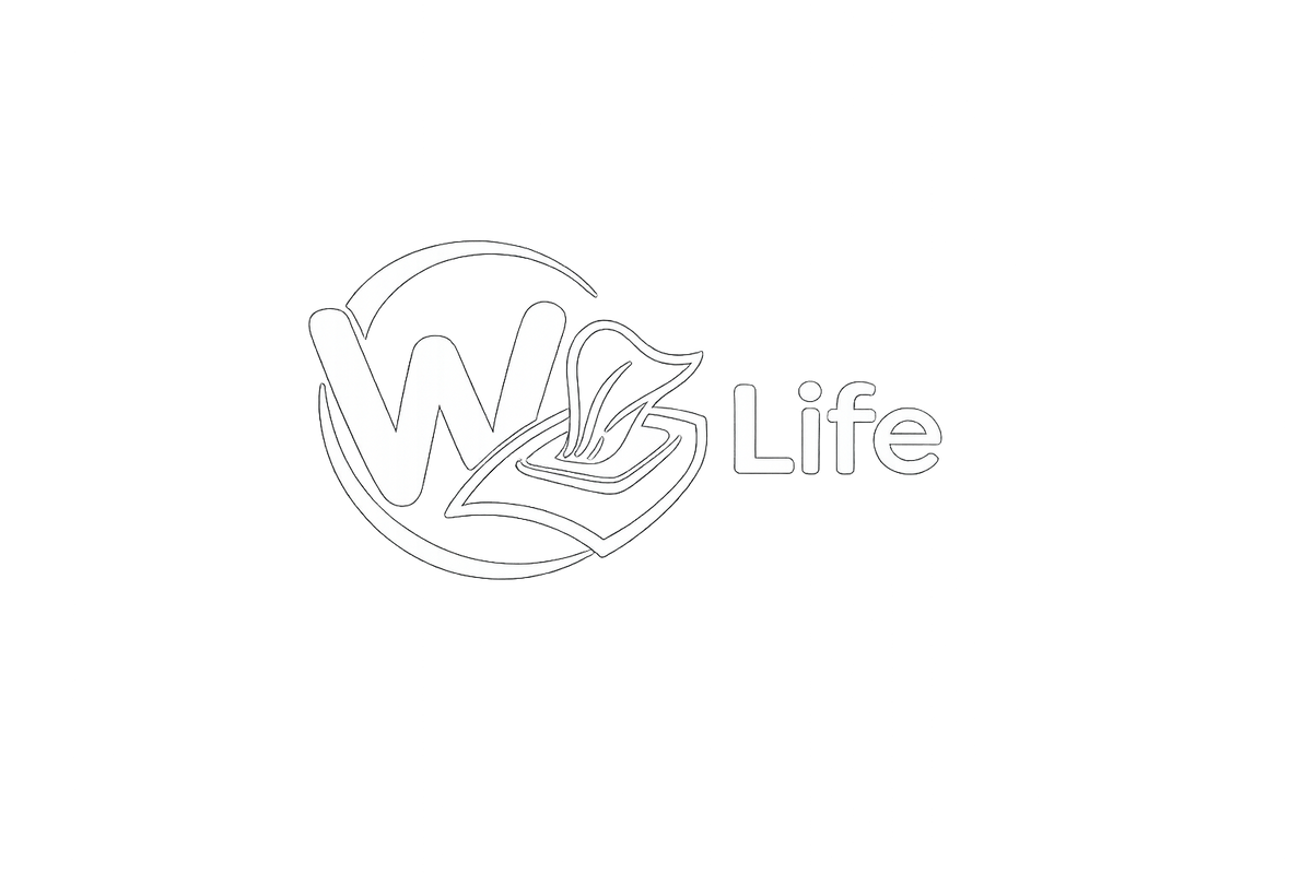 Life Kollektion